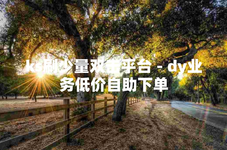 ks刷少量双击平台 - dy业务低价自助下单