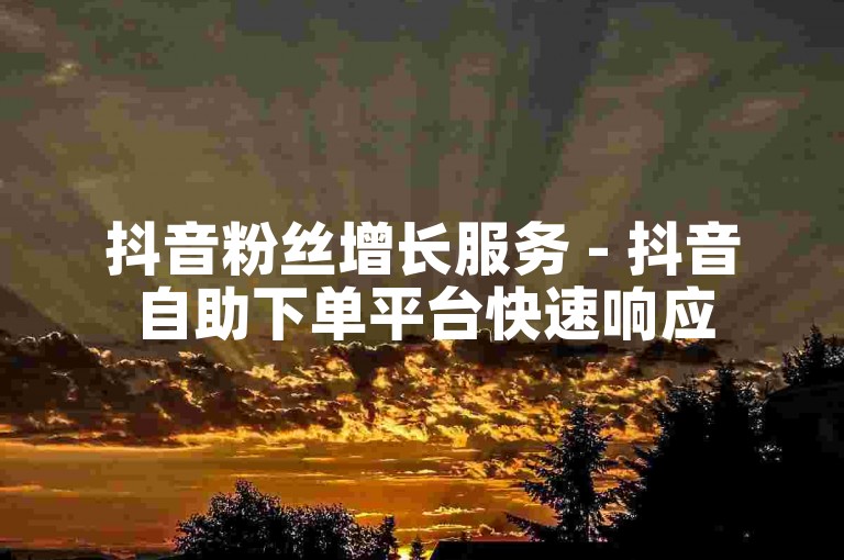 抖音粉丝增长服务 - 抖音自助下单平台快速响应