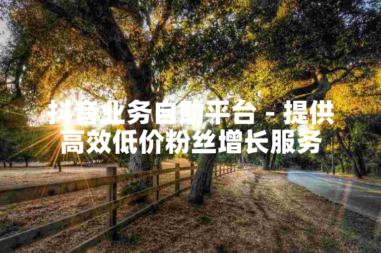 抖音业务自助平台 - 提供高效低价粉丝增长服务