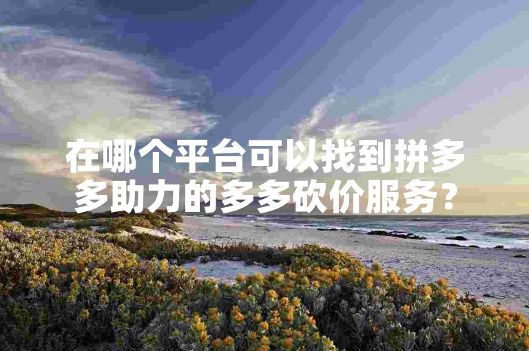 在哪个平台可以找到拼多多助力的多多砍价服务？