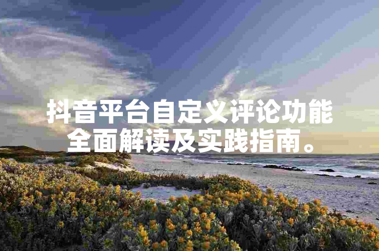 抖音平台自定义评论功能全面解读及实践指南。