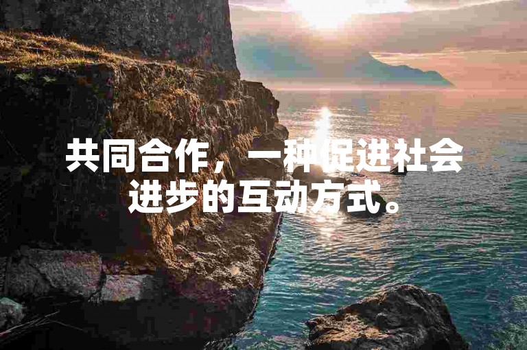 共同合作，一种促进社会进步的互动方式。
