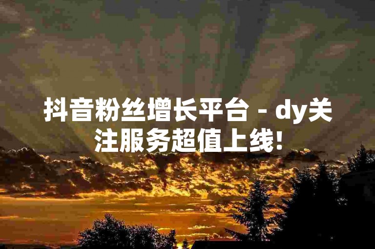 抖音粉丝增长平台 - dy关注服务超值上线!
