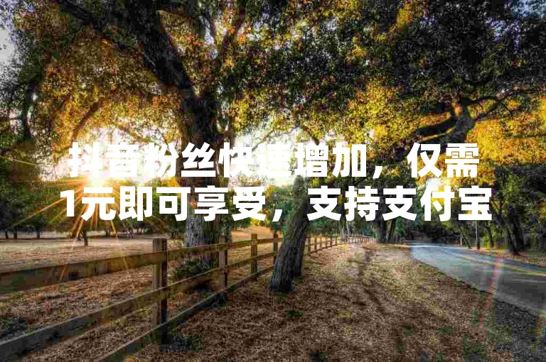 抖音粉丝快速增加，仅需1元即可享受，支持支付宝便捷付款 - 短视频推广自助系统 - 轻松获得视频播放量提升。