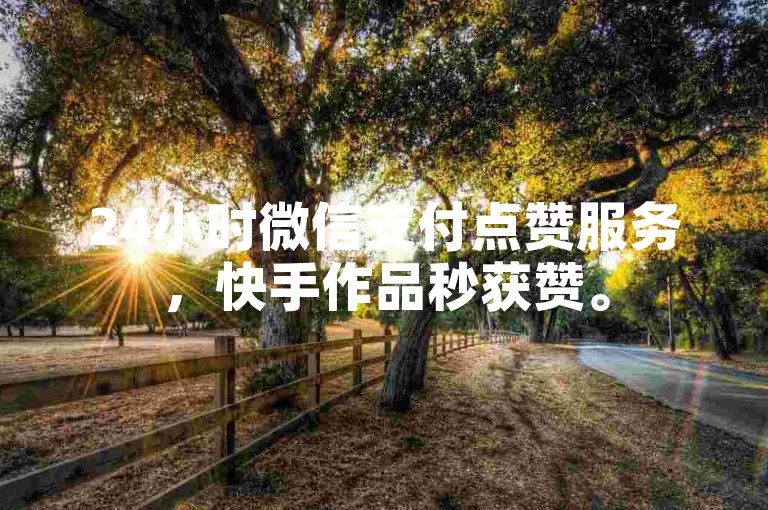 24小时微信支付点赞服务，快手作品秒获赞。