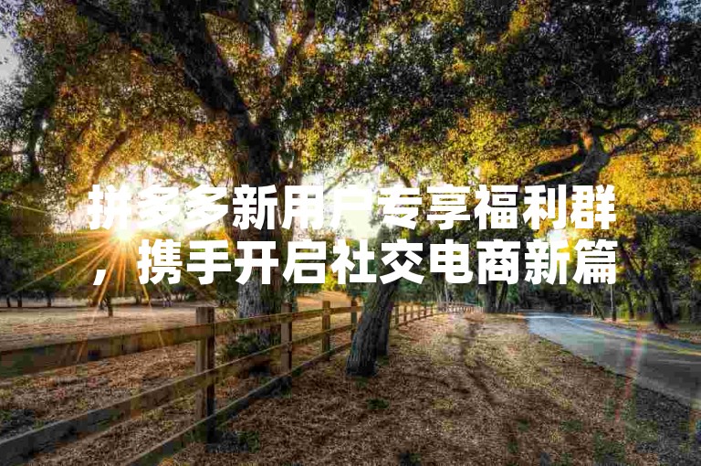 拼多多新用户专享福利群，携手开启社交电商新篇章。