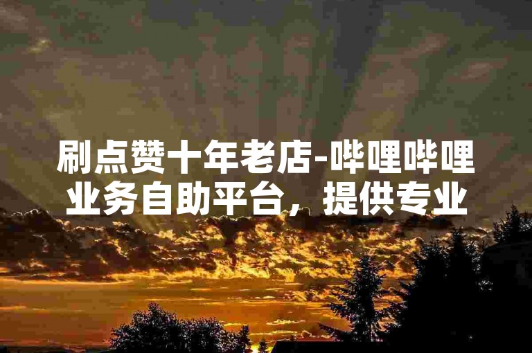 刷点赞十年老店-哔哩哔哩业务自助平台，提供专业、高效的服务。