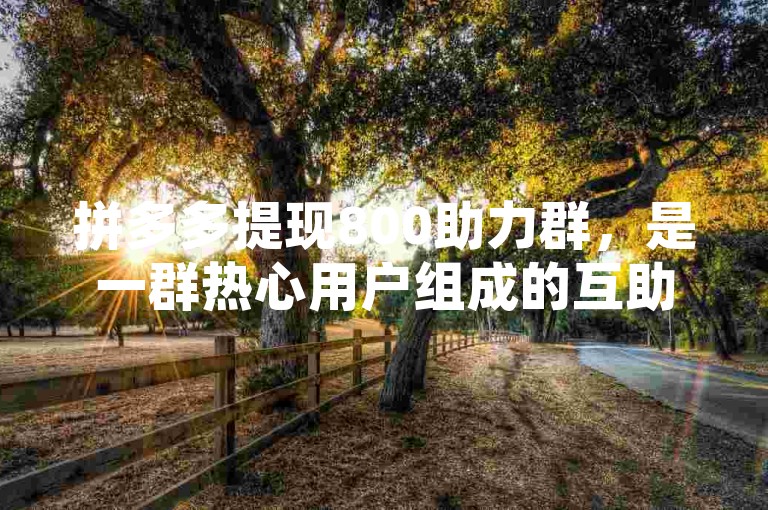 拼多多提现800助力群，是一群热心用户组成的互助平台，旨在帮助彼此快速达到提现门槛。