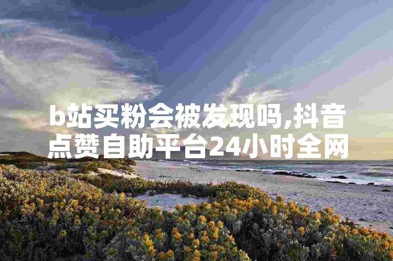 b站买粉会被发现吗,抖音点赞自助平台24小时全网最低