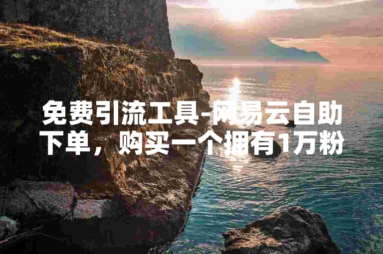 免费引流工具-网易云自助下单，购买一个拥有1万粉丝的快手账号。