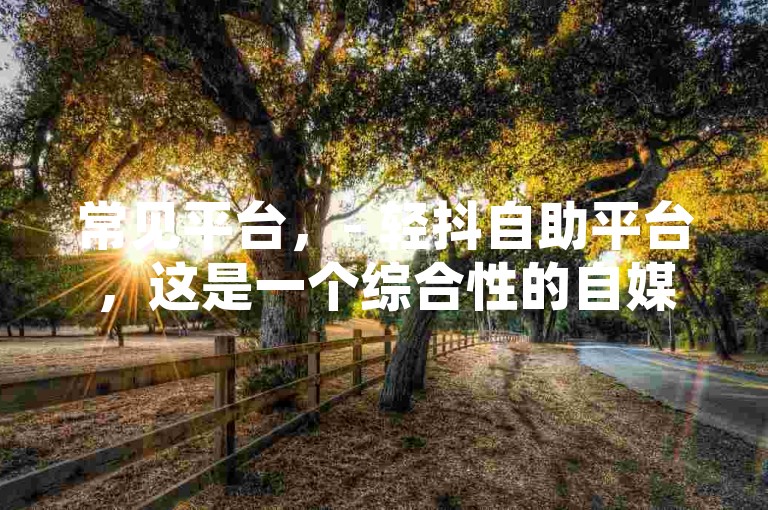 冰点卡盟的抖涨客软件是一款功能强大的工具，可以帮助用户快速提升社交媒体账号的关注度。