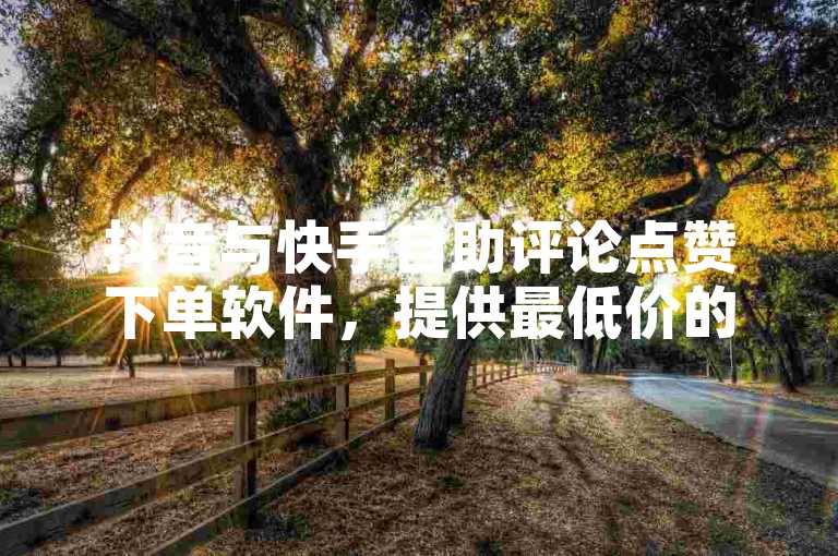 抖音与快手自助评论点赞下单软件，提供最低价的业务自助下单平台。