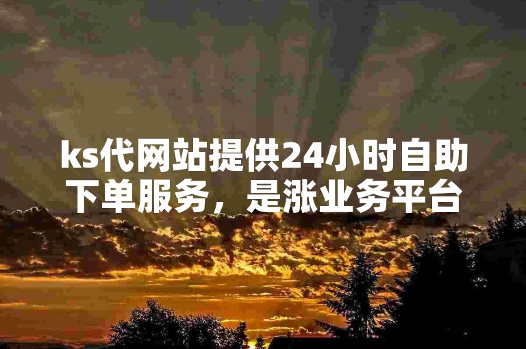 ks代网站提供24小时自助下单服务，是涨业务平台的优选。