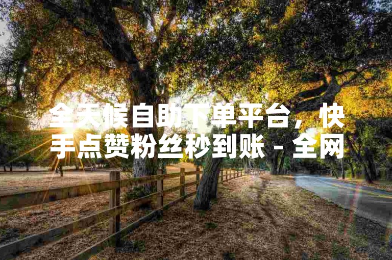 全天候自助下单平台，快手点赞粉丝秒到账 - 全网最低价，KS双击服务即刻享受。