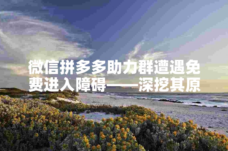 微信拼多多助力群遭遇免费进入障碍——深挖其原因及所带来的影响。