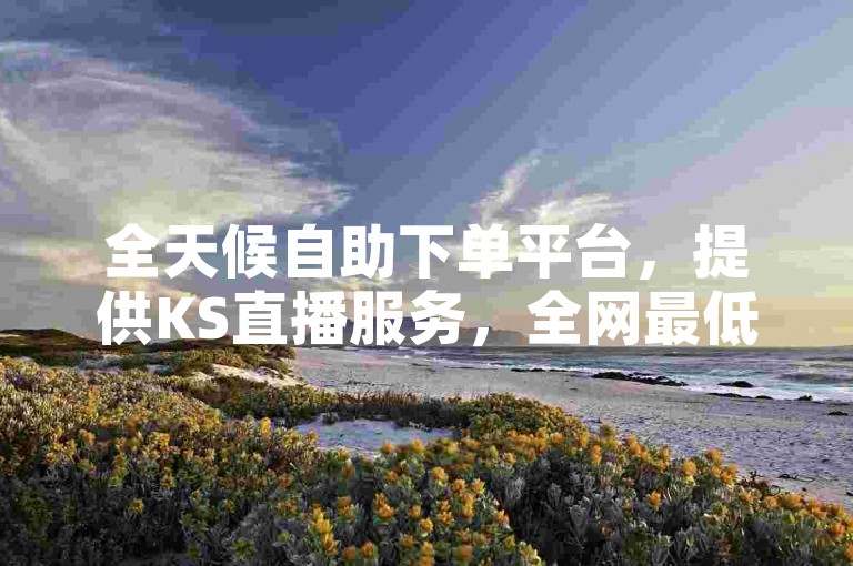 全天候自助下单平台，提供KS直播服务，全网最低价 - 哔哩哔哩账号批发购买首选。