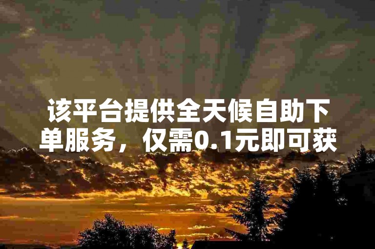 该平台提供全天候自助下单服务，仅需0.1元即可获得10000个赞。
