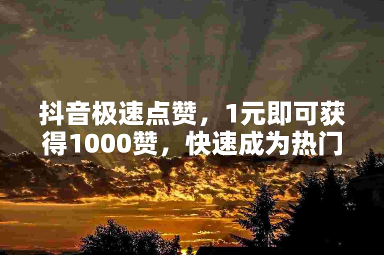抖音极速点赞，1元即可获得1000赞，快速成为热门视频新宠。