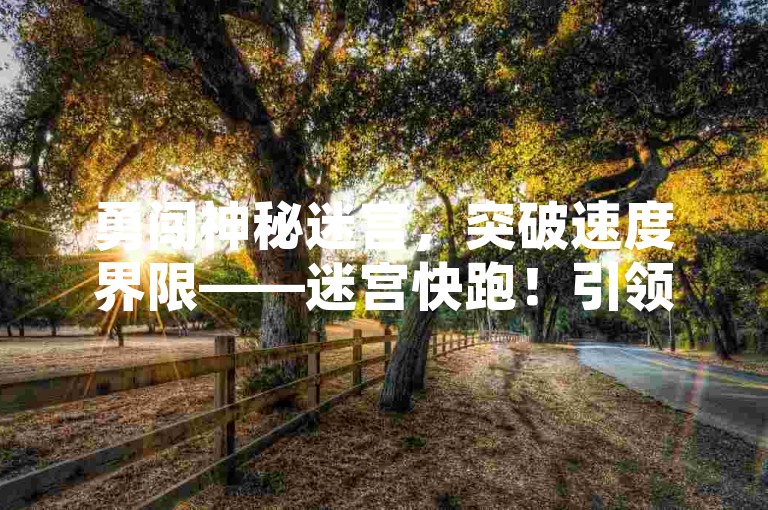 勇闯神秘迷宫，突破速度界限——迷宫快跑！引领你进入刺激竞速新时代！