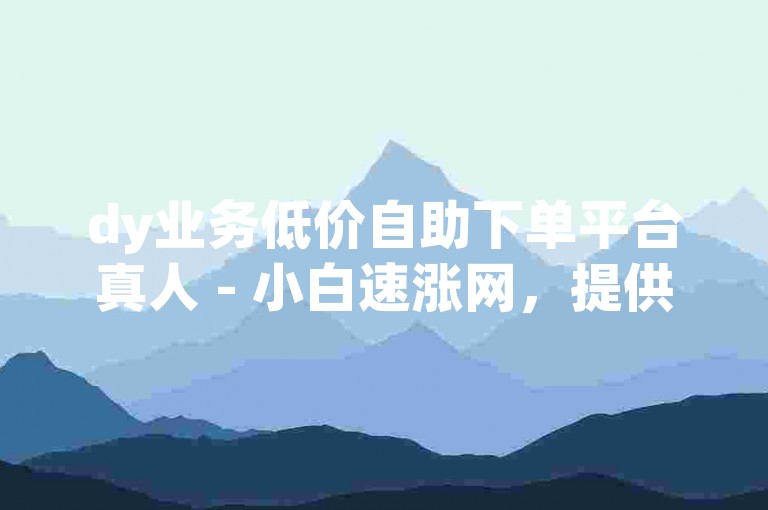dy业务低价自助下单平台真人 - 小白速涨网，提供便捷服务。