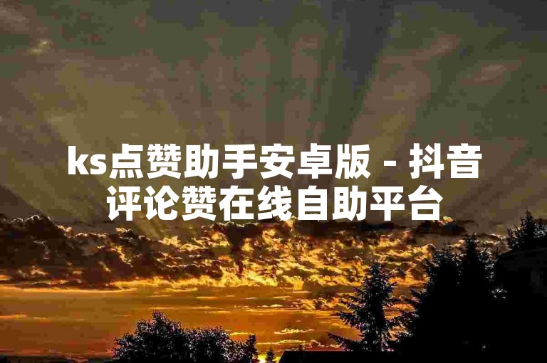 ks点赞助手安卓版 - 抖音评论赞在线自助平台