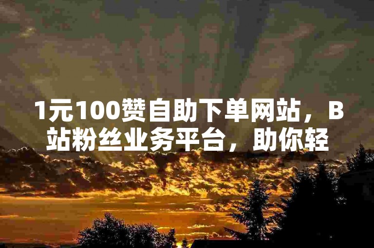 1元100赞自助下单网站，B站粉丝业务平台，助你轻松提升视频热度。