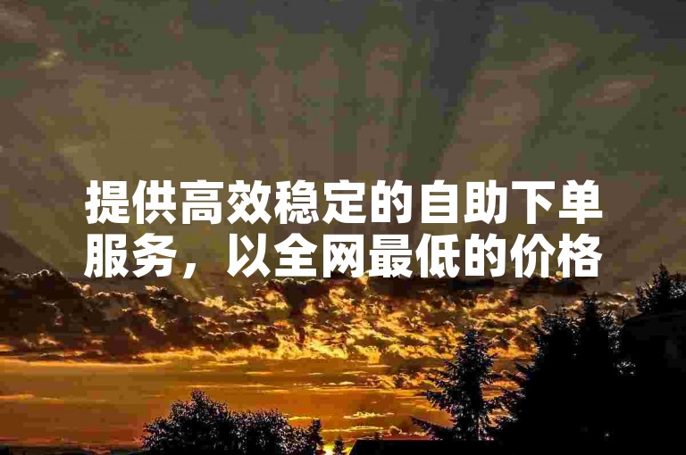提供高效稳定的自助下单服务，以全网最低的价格实现快速增赞，仅需1元即可获得100赞。