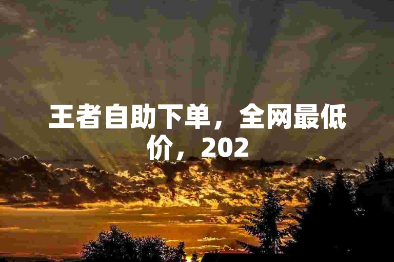 王者自助下单，全网最低价，2025必学独家揭秘！
