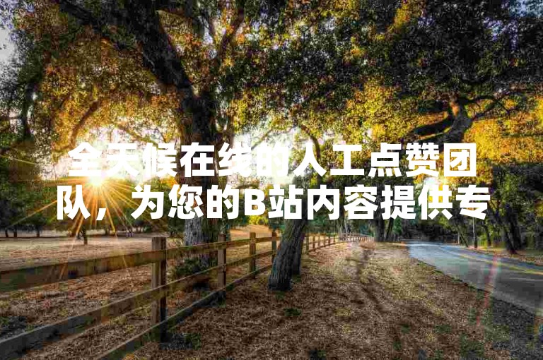 全天候在线的人工点赞团队，为您的B站内容提供专业的点赞服务。