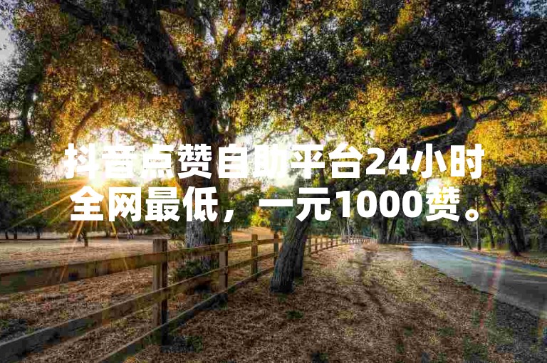 抖音点赞自助平台24小时全网最低，一元1000赞。