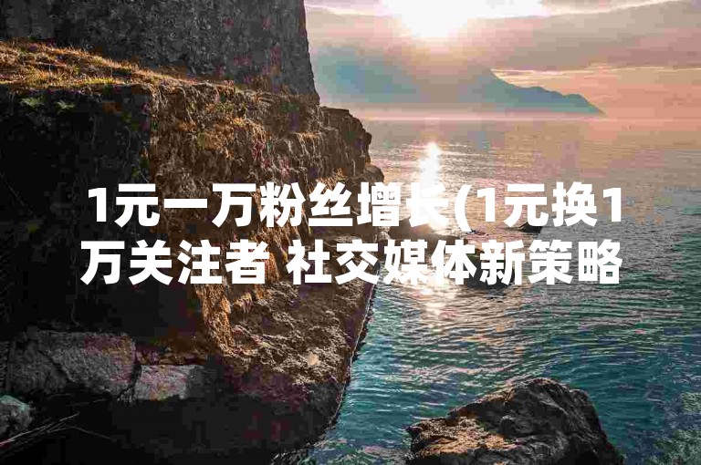 1元一万粉丝增长(1元换1万关注者 社交媒体新策略)