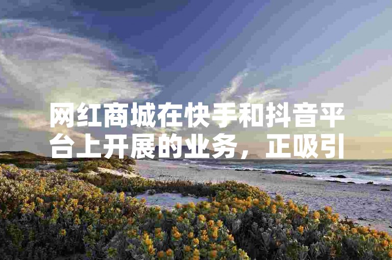 网红商城在快手和抖音平台上开展的业务，正吸引着越来越多的年轻消费者。