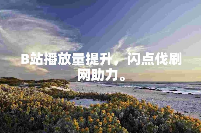 B站播放量提升，闪点伐刷网助力。