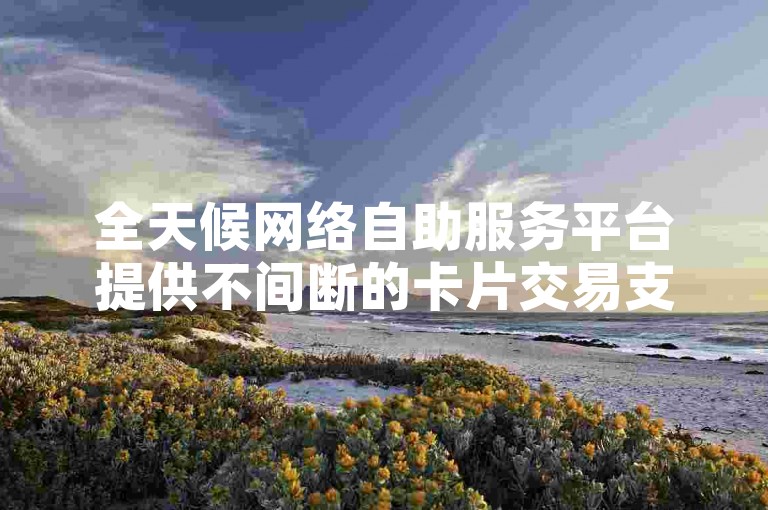 全天候网络自助服务平台提供不间断的卡片交易支持。