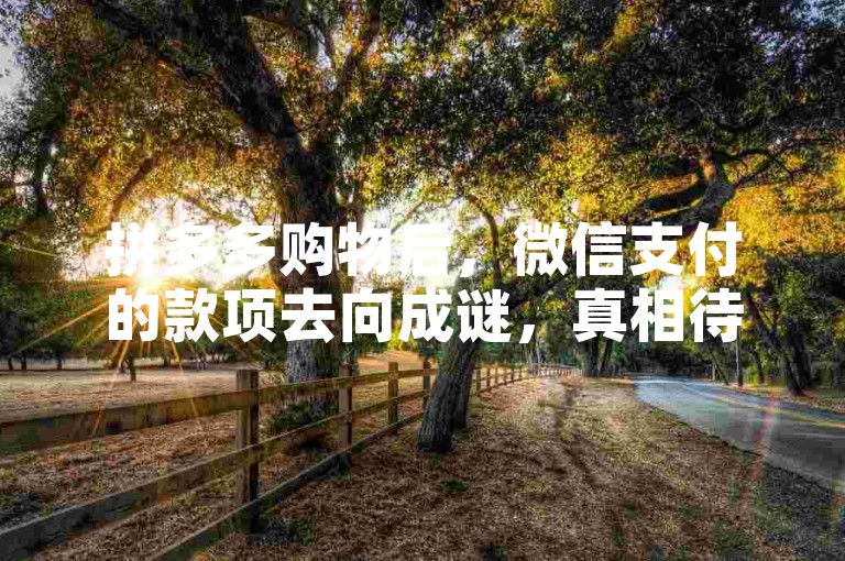 拼多多购物后，微信支付的款项去向成谜，真相待解。