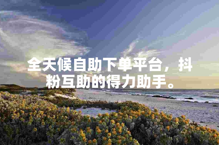 全天候自助下单平台，抖粉互助的得力助手。