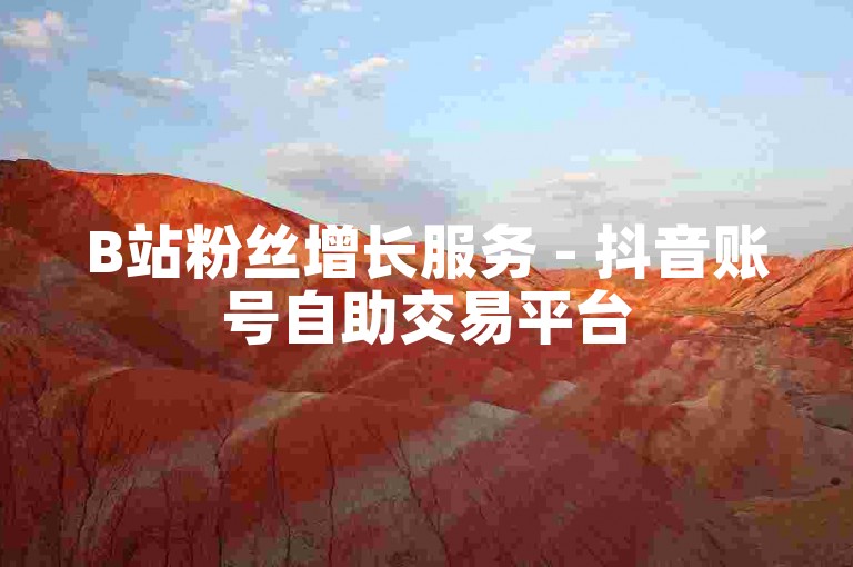 B站粉丝增长服务 - 抖音账号自助交易平台