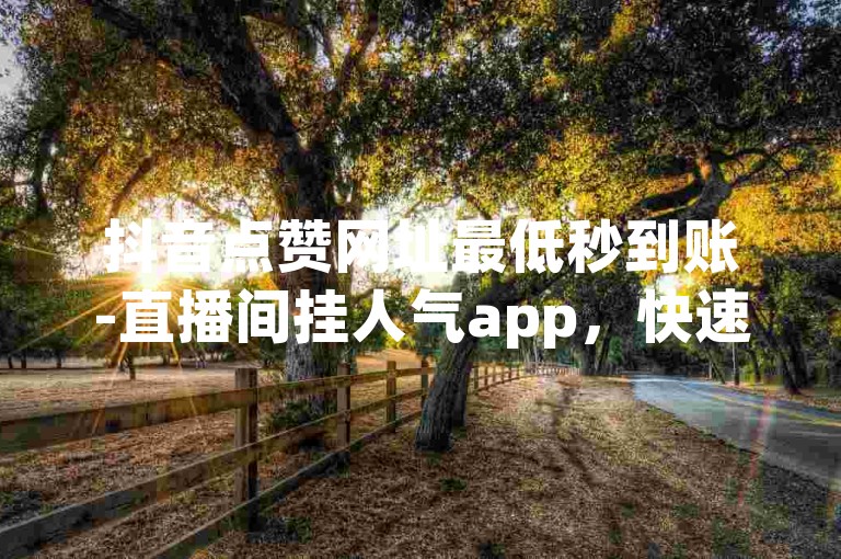 抖音点赞网址最低秒到账-直播间挂人气app，快速提升你的直播热度。