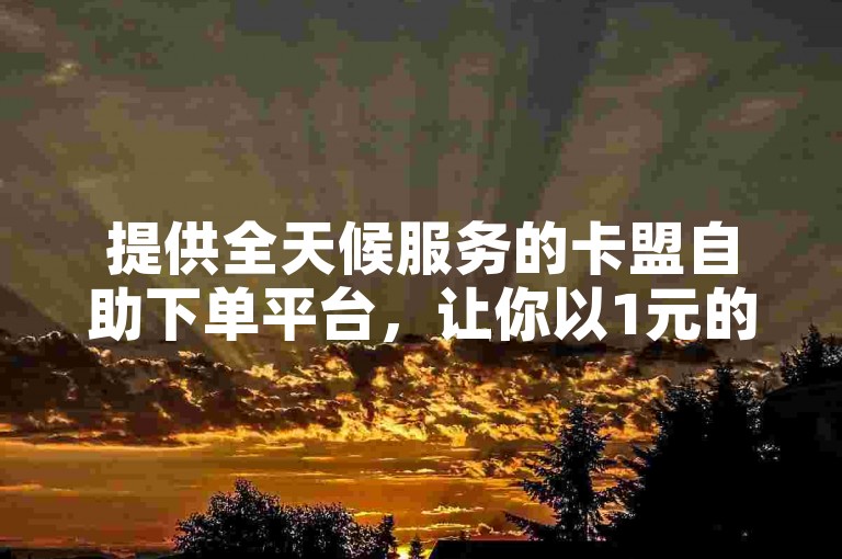 提供全天候服务的卡盟自助下单平台，让你以1元的价格轻松获得100赞。