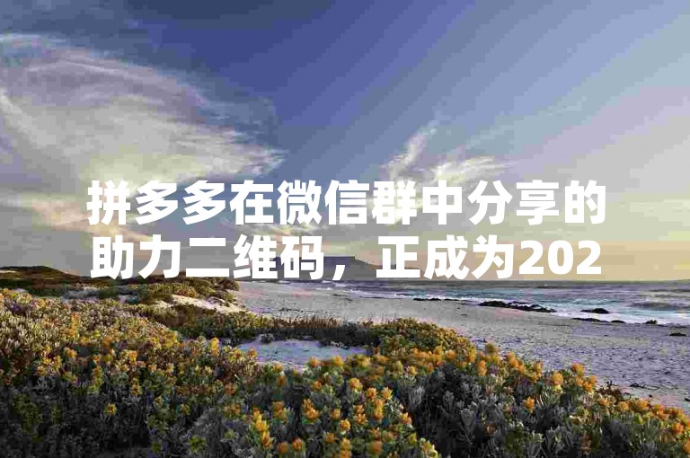 拼多多在微信群中分享的助力二维码，正成为2024年电商社交化营销的新趋势，预示着未来发展方向。