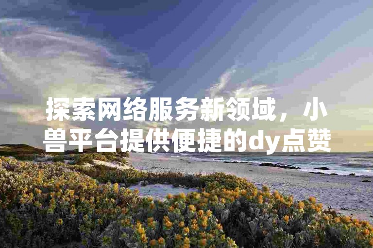 探索网络服务新领域，小兽平台提供便捷的dy点赞自助服务。