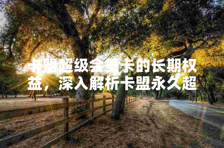 卡盟超级会员卡的长期权益，深入解析卡盟永久超级会员卡的特点及其带来的益处。