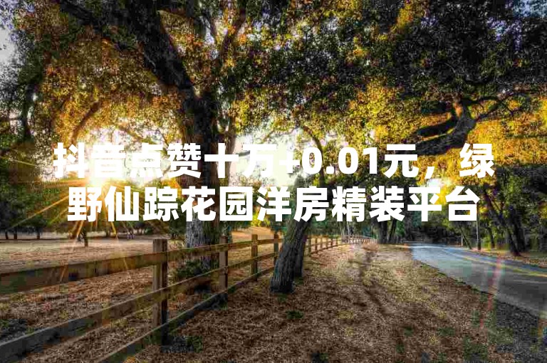 抖音点赞十万+0.01元，绿野仙踪花园洋房精装平台 - 一键操作流量密码大公开！