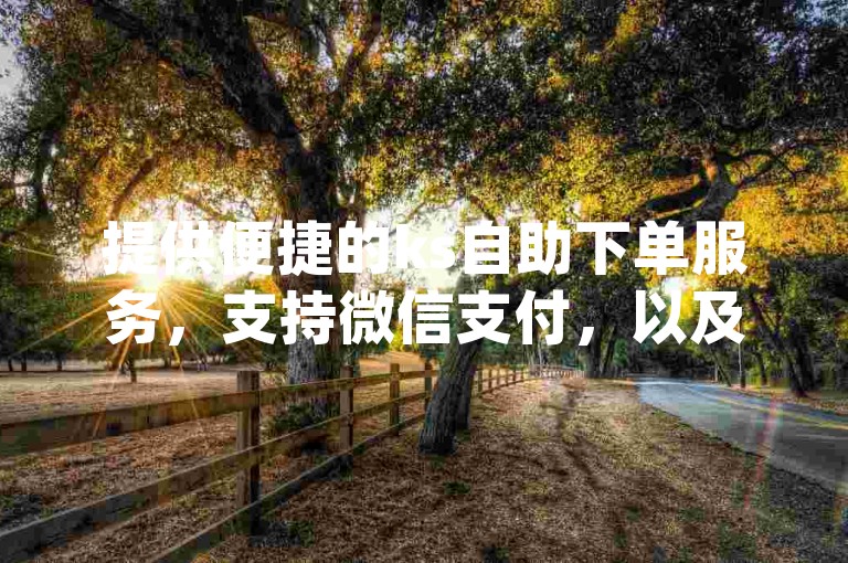 提供便捷的ks自助下单服务，支持微信支付，以及dy点赞的自助平台。