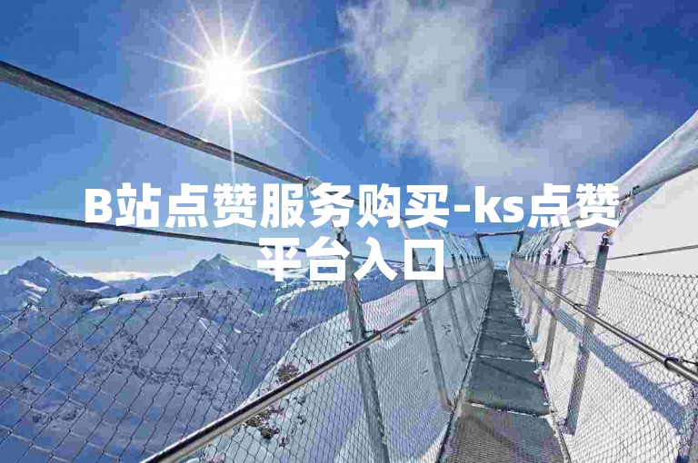 B站点赞服务购买-ks点赞平台入口