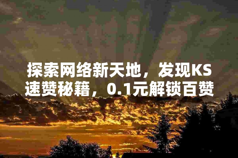 探索网络新天地，发现KS速赞秘籍，0.1元解锁百赞盛景，粉丝增长加速器。