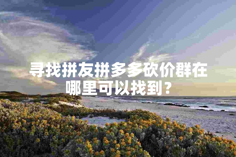 寻找拼友拼多多砍价群在哪里可以找到？