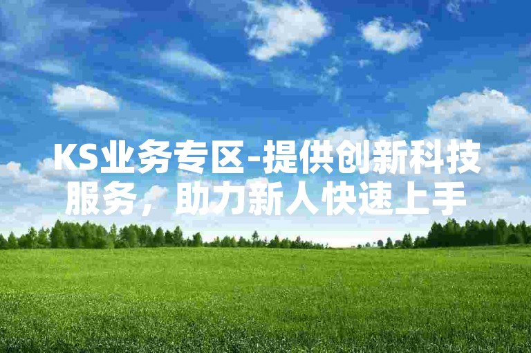 KS业务专区-提供创新科技服务，助力新人快速上手！