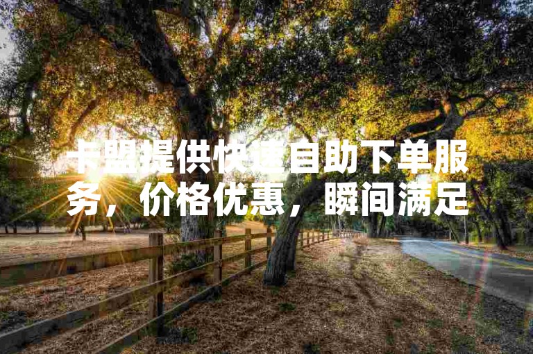 卡盟提供快速自助下单服务，价格优惠，瞬间满足您的需求。