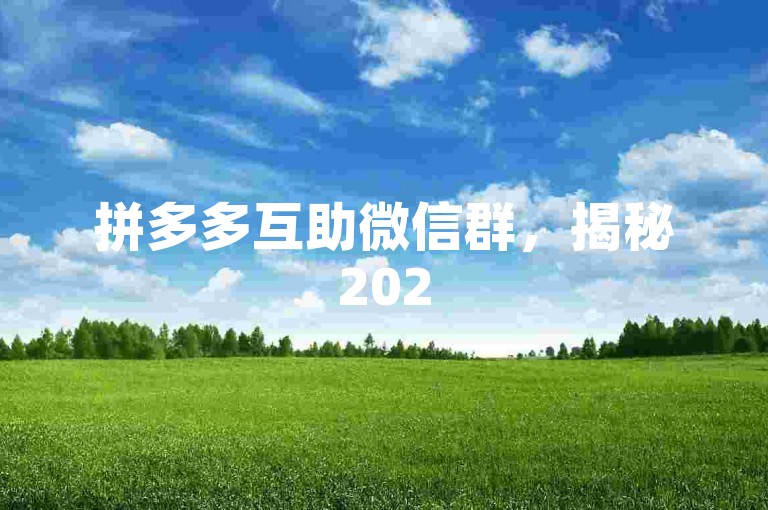 拼多多互助微信群，揭秘2025年的市场机遇与挑战。